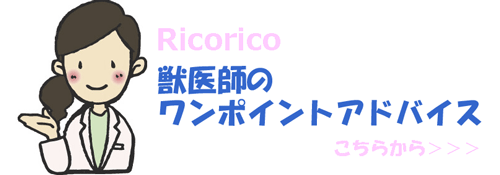 Ricorico�ð夫��Υ��ɥХ���