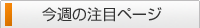 ���������ܥڡ��� | �磻�󥻥顼���䲹�ˤ������䥹�����Ĥޤǡ��꤫������Yahoo!Ź