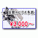 3000�ߡ�