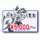 5000�ߡ�