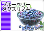 �֥롼�٥꡼���ᥰ����Υ�