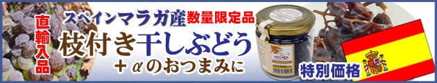 �ޥ饬���դ������֥ɥ�