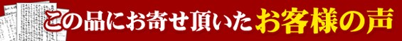 �����ʤ˴󤻤�줿�����ͤ���