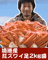 �ȥ��磻­2kg��
