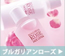 �֥륬�ꥢ���������������ڡ�