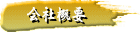 ��ҳ���