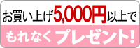 �����ۤ�5000�ߤ������