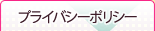 �ץ饤�Х����ݥꥷ��