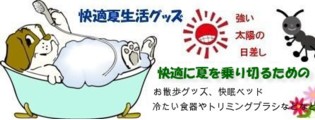�������䳲��뤵�ʤɤ��к����å��ý��������⡢���гݤ�����̲���ȥ�ߥ󥰤ˤ����ᡣ