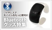 ���󥷥���Blutooth/�֥롼�ȥ�����