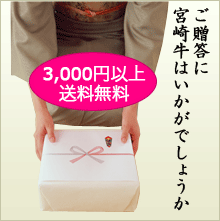 ��£�������渵�ˤϵܺ����3,000�߰ʾ�����̵��