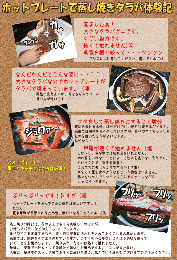 ����ڡ��ۥåȥץ졼�ȤǾ����Ƥ������