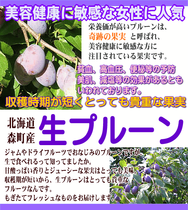 �̳�ƻ�������ץ롼��
