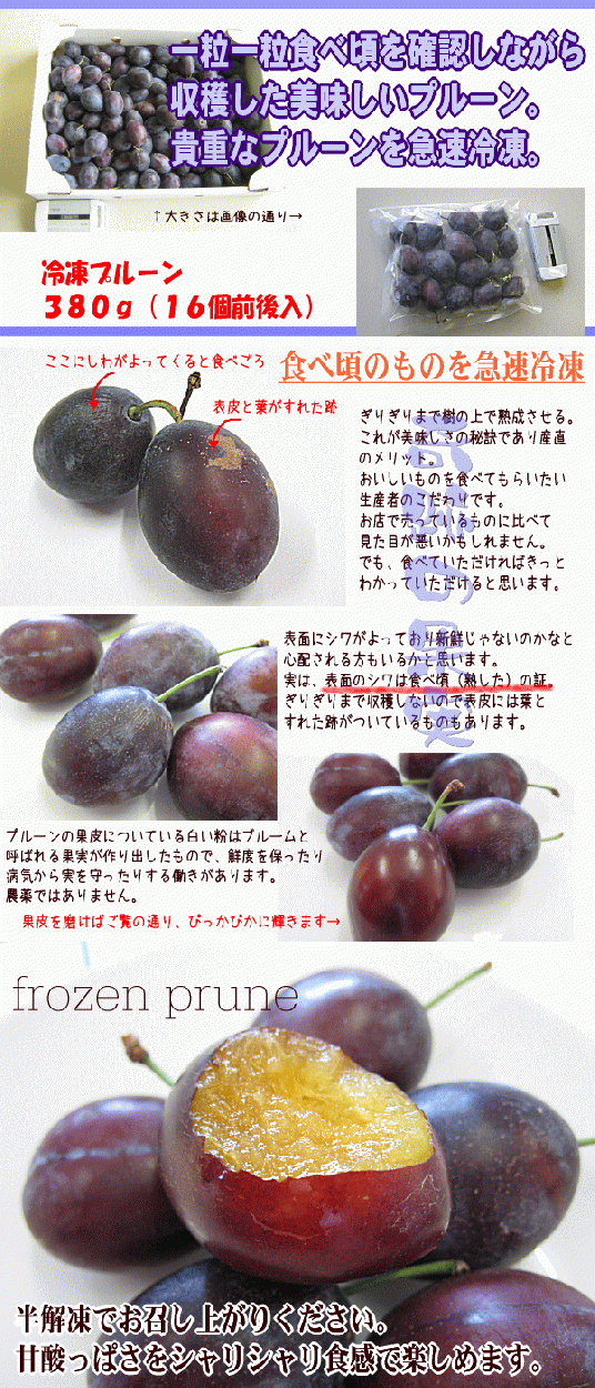 �̳�ƻ�����ե�å������ץ롼�������ǡ�