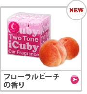 �ե������ԡ����ι��