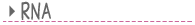 RNA