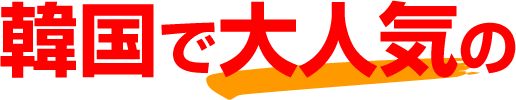 韓国で大人気の
