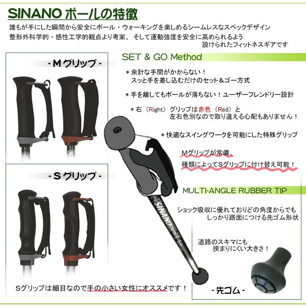 シナノの特徴