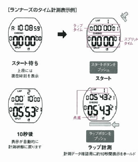 SEIKO �������� LIFE SPORTS �饤�ե��ݡ��� ���ʡ���