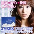 ��CANVIEW��2���ֻȤ��Τƥ��եȥ��