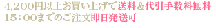 4,200�߰ʾ太�㤤�夲����������������̵����15:00�ޤǤΤ���ʸ¨��ȯ����