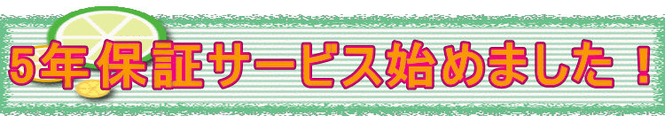 5ǯ�ݾڥ����ӥ��Ϥ�ޤ����� 