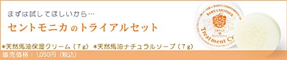�ȥ饤���뾦��