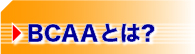 BCAA�Ȥϡ�