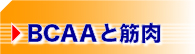 BCAA�ȶ���