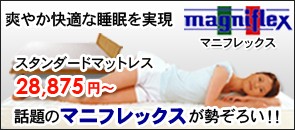 �ޥ˥ե�å���