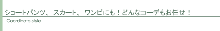 �����ǥ��͡���