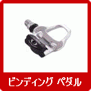 �ӥ�ǥ��� �ڥ���