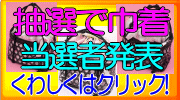 3000�߰ʾ太�㤤�夲�ǡ�������3̾�ͤ˥ץ쥼��ȡ�