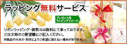��åԥ�̵�������ӥ�