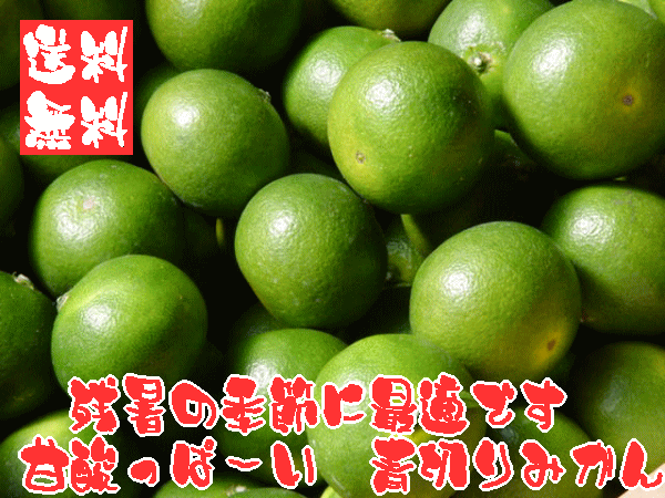青切りみかん