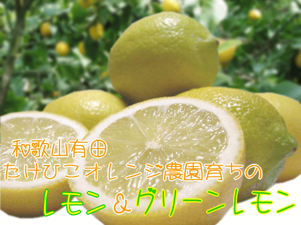 国産レモン＆グリーンレモン