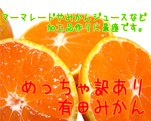めっちゃ訳あり有田みかん