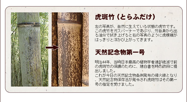 竹垣(虎竹自在垣足付き-日本购购凭借专业的代购经验,为广大朋友提供