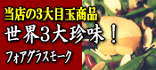 ���ܶ̾��ʡۥե������饹�⡼��
