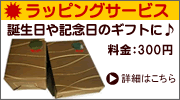 ��åԥ󥰥����ӥ�