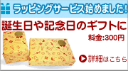 ��åԥ󥰥����ӥ�