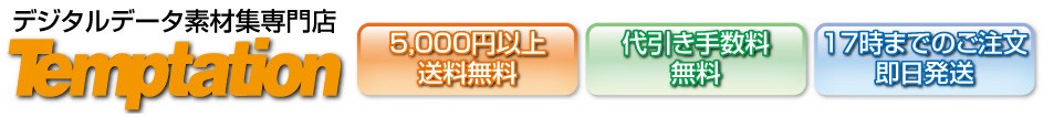 �ǥ������Ǻླྀ �ƥ�ץơ������