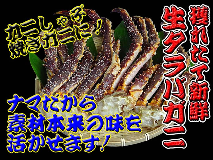 �ͤ줿�ƿ�������Х��ˡ����ˤ���֡��Ƥ����ˤ�! �ʥޤ������Ǻ������̣��褫���ޤ�!