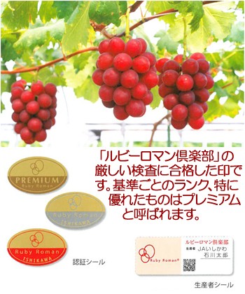 【Yahoo!ショッピング】石川産ルビーロマン1房（500～800g前後）化粧箱　送料無料，葡萄:fs0205:やまがた特産屋