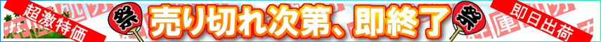 �߸˽�ʬ