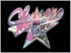 CHASER