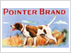 POINTER BRAND