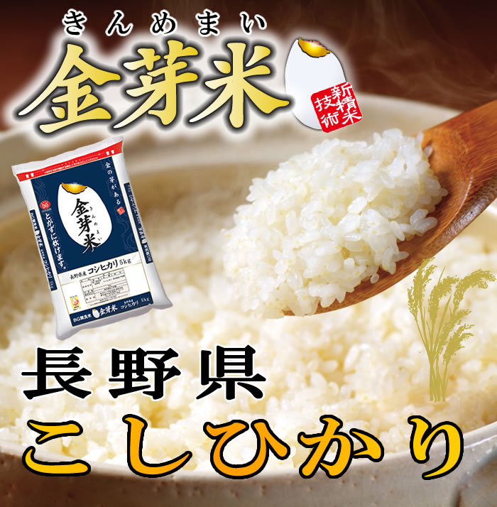 金芽米 无洗米 长野県产こしひかり 5kg 令和元年度产 送料込 きんめ
