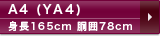 A4(YA4)