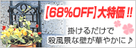���ӥˡ��� �ϥ󥮥󥰥ȥ�ꥹ�ʥ����ǥ�ȥ�ꥹ��